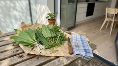 Jedna grządka, a zielenina na długo: 5 roślin, które posadzisz raz