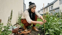 Kobieta przywiązuje pędy bylin do palika na przydomowej rabacie