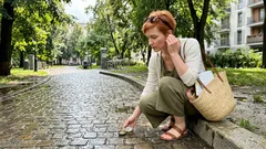 Czy mózg może „rozmawiać” z polem Ziemi? Nauka o rezonansach Schumanna bez wielkich skrótów